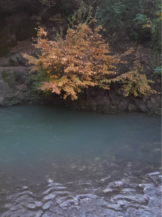 محوطه